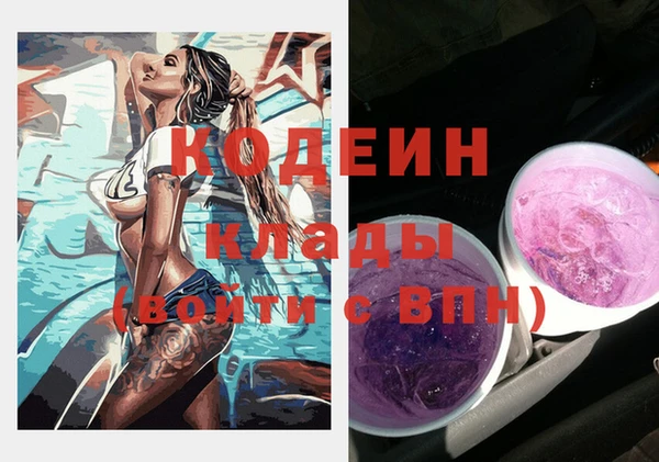 дживик Верхний Тагил
