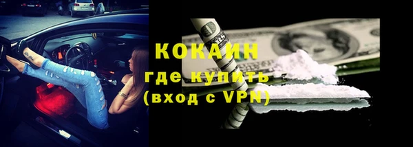 дживик Верхний Тагил
