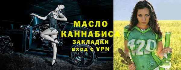 дживик Верхний Тагил