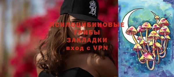 дживик Верхний Тагил