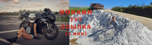 дживик Верхний Тагил