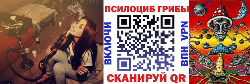 Псилоцибиновые грибы Psilocybe  Мариинск 